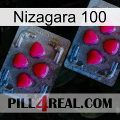 Nizagara 100 14
